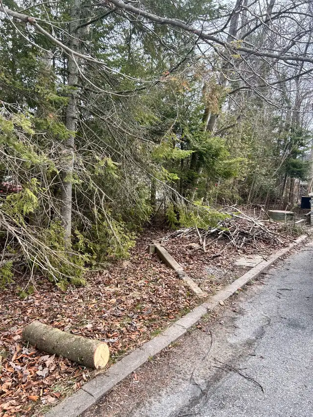 Yard Cleanup & Garbage Removal in Other in Barrie - Image 3