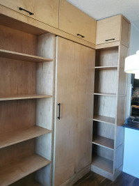 Custom Mill work ; Built-ins , Bookshelf, Closet, Home Office