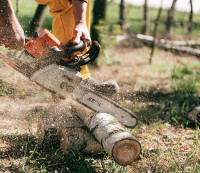 Affordable tree cutting service in GTA