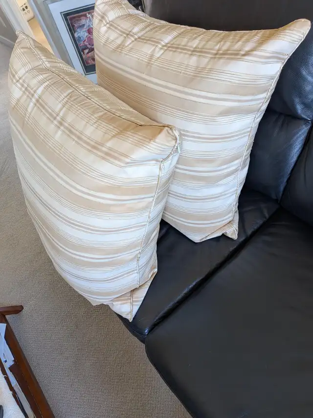Two Large Pillows65669428034690124