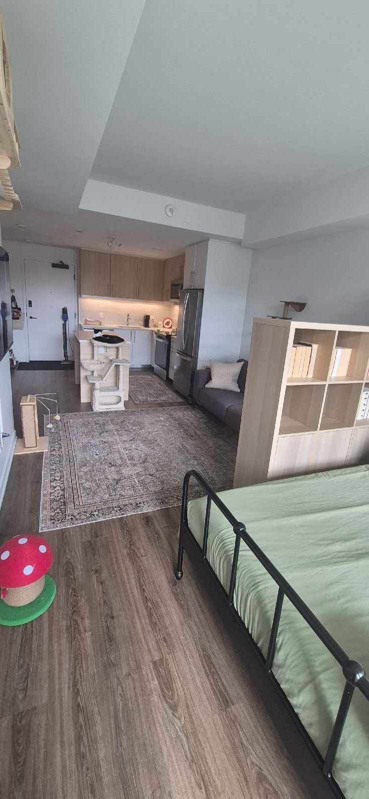 Studio apartment available for November 1 - westboro 4