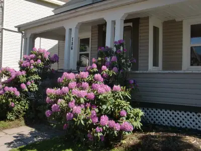 One beautifully furnished room available 1 May, 2026 for a short-term rental for a professional, mat...