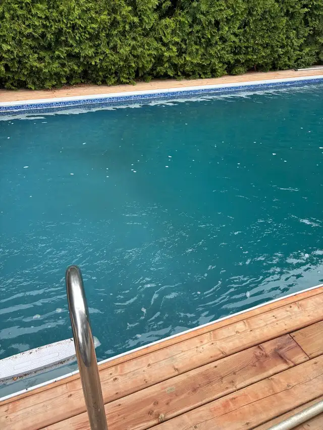 Looking for Pool guy 476833238871582720