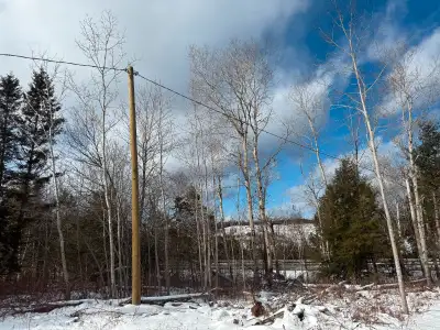 Why pay fees to a campground when you could own this land for your RV with tons of room to spare pow...