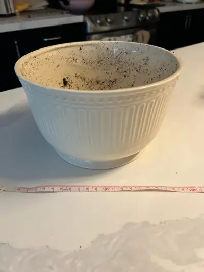 Free plant pot. porch pick up 16/kennedy, Markham , View more