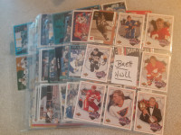 CARTES DE HOCKEY DU JOUEUR VEDETTE DE LA LNH BRETT HULL