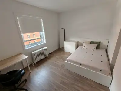 Female roomate wanted from July 1st