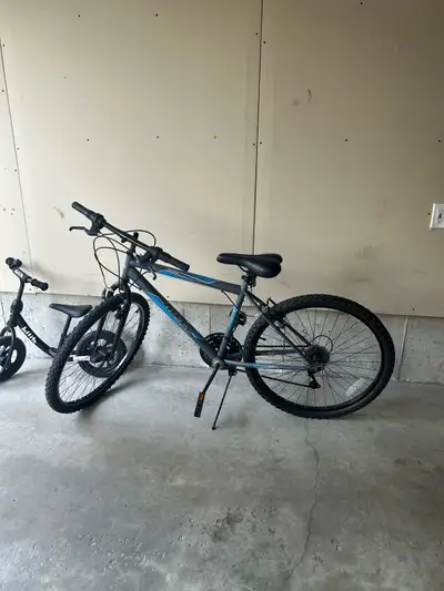 adult bike with kickstand , View more