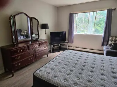 I have a furnished room for rent in a 2 bedroom apartment, for August 1st. Security building. All ut...