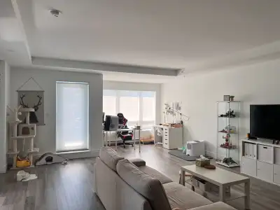 Large 1-Bedroom Apartment Available – Over 1,000 sq ft A spacious one-bedroom apartment (over 1,000...