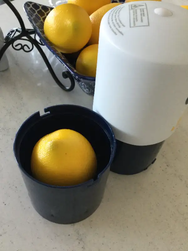Lime Wedge Slicer Cutter - New in Other in Penticton - Image 8