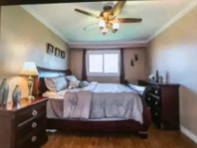 Beautiful one bedroom at victorial park and finch