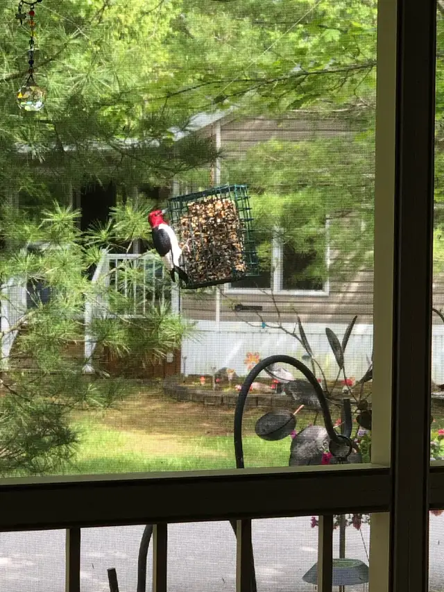 Fisherman’s Cove Cottager Escape 36X12 w/ large Sun/Screen Room. in Park Models in Owen Sound - Image 10