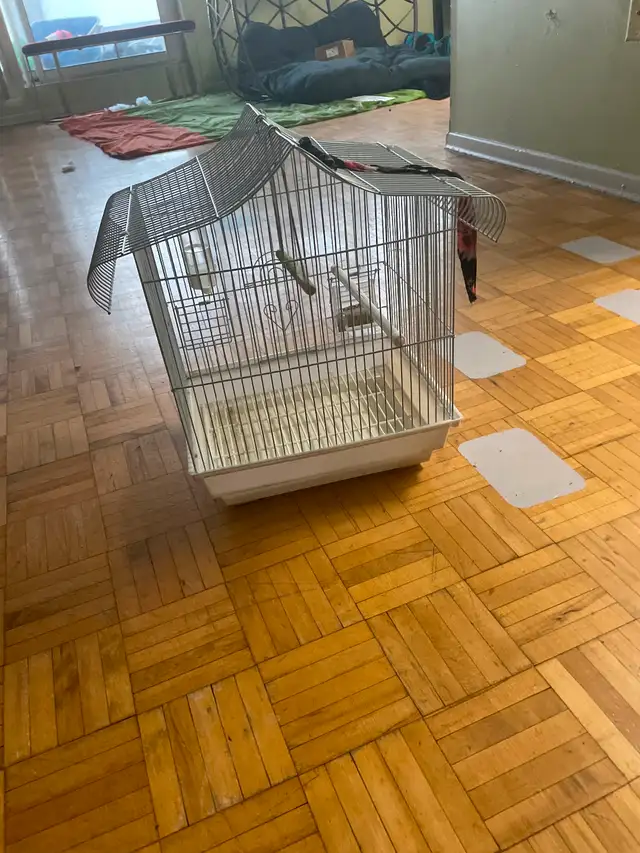 Budgie cage 16x12x12, 1 cage for $25 and for 2 $40 in Accessories in Mississauga / Peel Region - Image 3
