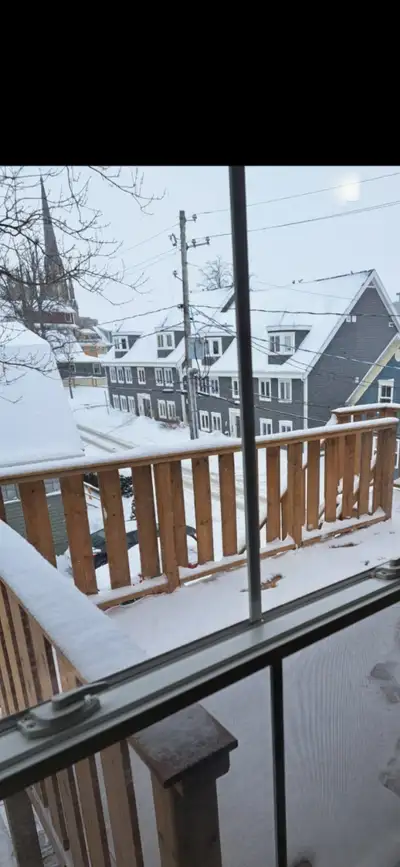 Newly renovated, bright, quiet, clean 2 bedroom plus small office in 3 unit heritage property in gre...