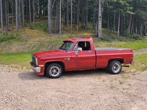 1982 Chevrolet C10 Scottsdale 