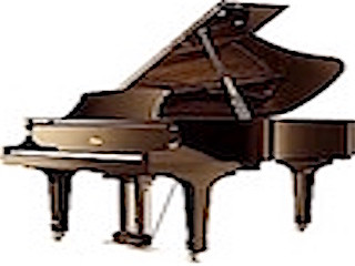 Music Lessons In Your Home or Online Edmonton Area in Music Lessons in Edmonton - Image 2