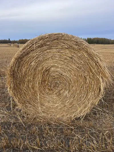 green feed bales, View more