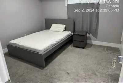 Basement for Rent with separate entrance