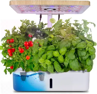 Hydroponics Growing System,Indoor Garden,Herb Garden Indoor Kit, View more