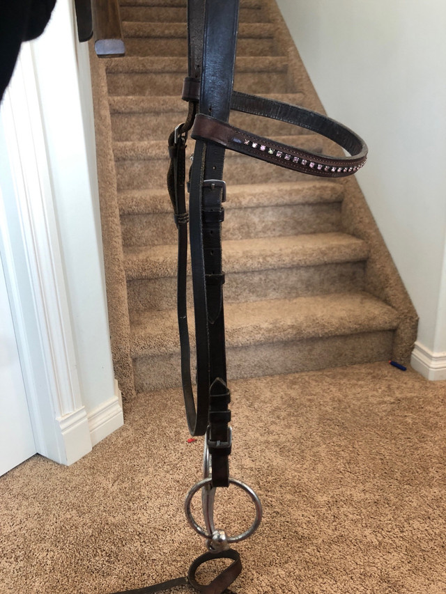 English Bridal in Equestrian & Livestock Accessories in Calgary - Image 2