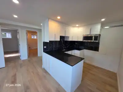 Luxueux grand 4 ½ entièrement rénové, très lumineux et moderne 8675, rue Sherbrooke Est, Montréal (Q...