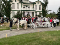 Horse Drawn Wedding Carriages