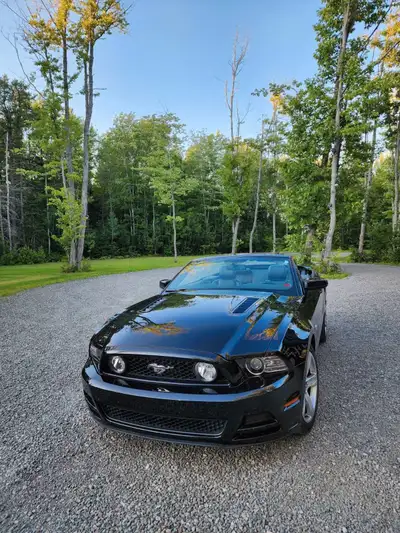 2014 Mustang GT Showroom Condition 
