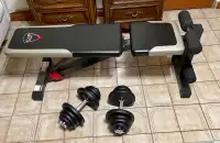 Workout set: Bench and 2 Dumbbells 