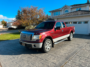 2010 Ford F 150 XLT