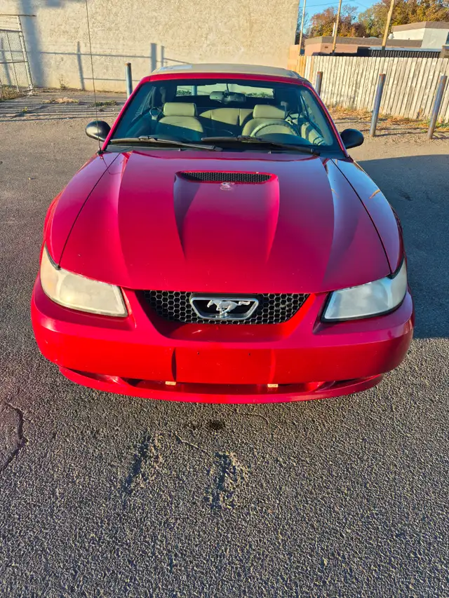 2000 mustang convertible in Cars & Trucks in Lethbridge - Image 8
