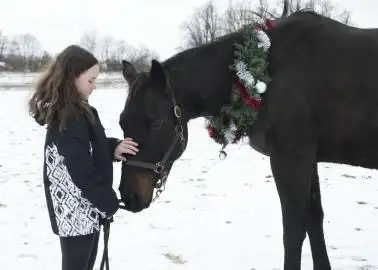 Christmas Sale On Riding Lessons, View more