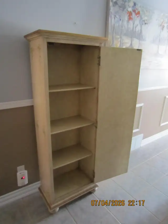 Decorative Storage Cabinet in Bookcases & Shelving Units in North Bay - Image 3