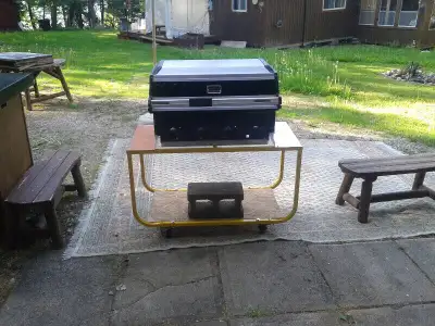 lot of heat Model xg4tbwss, 17000 btu / burners, propane, 4wg, 30*20 in cooking area, bbq box 20" hi...