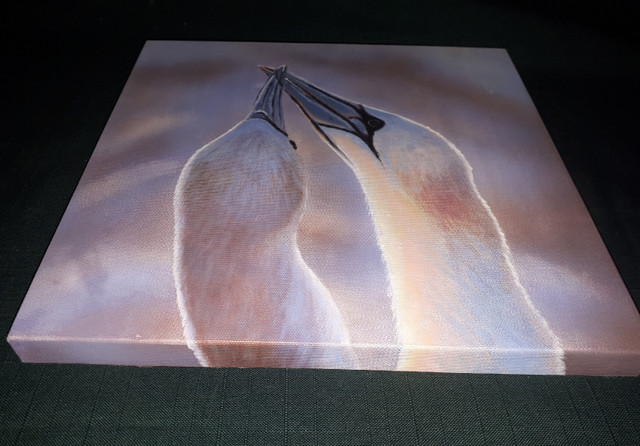 Canfloyd Home Details canvas wall art- Boobies in Home Décor & Accents in Mississauga / Peel Region - Image 2