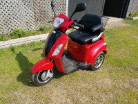 TRIPORTEUR NEUF 500W 2023 ROUGE 3 ROUES