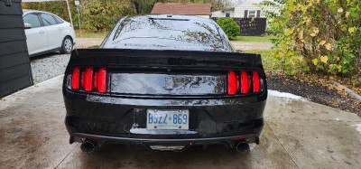 Mustang gt with performance pack.  one owner low kms