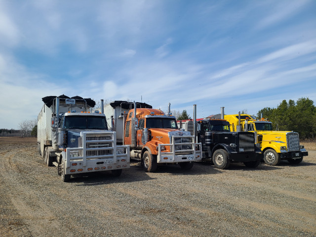 Looking for AZ Driver for local hauling in Drivers & Security in Thunder Bay - Image 2