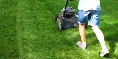 coupe de gazon $30 par heure, $45 minimum Montréal, Anjou, Brossard, St-Léonard 438-920-9930 grass c...
