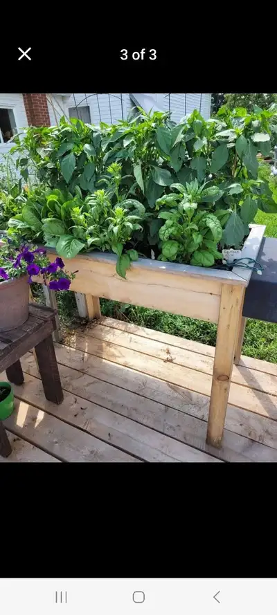 RAISED GARDEN BEDS, View more