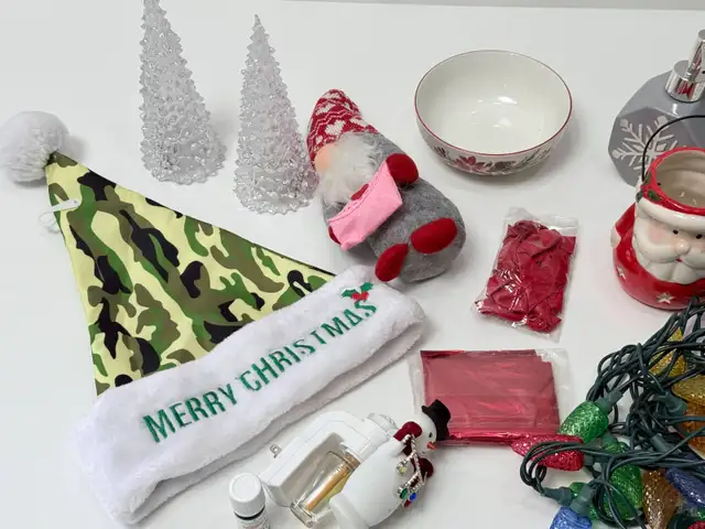 Huge Christmas Decoration Lot Mixed Holiday Decor in Holiday, Event & Seasonal in Ottawa - Image 3