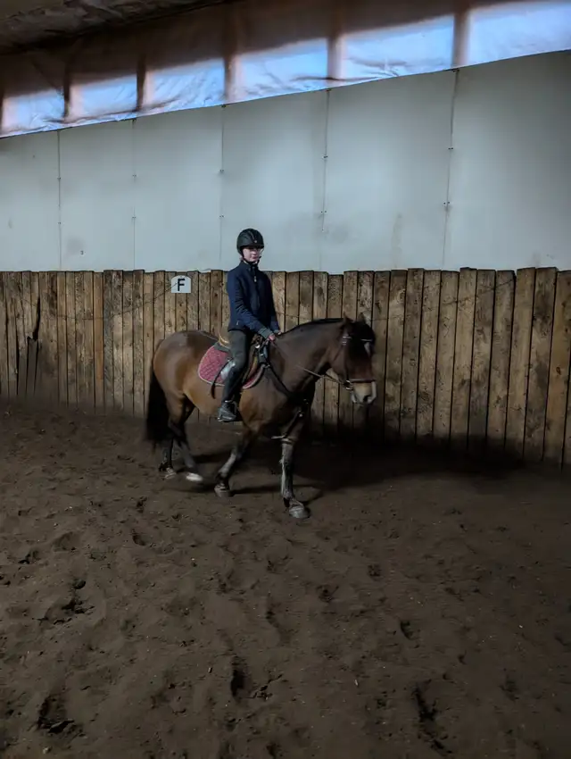 Temperature controlled indoor riding lessons64840302708737120