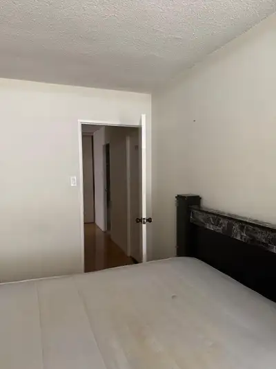 1 Room to Rent