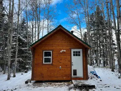 2022 Cabin Beautiful 14 x 24ft tiny home/ cabin on steel skids for sale and ready to be moved! Cute...