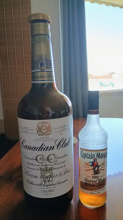 Giant Whiskey Bottle, View more
