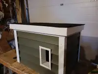 Dog or Cat House 