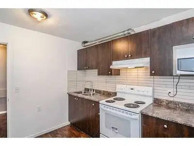 Beautiful basement for rent