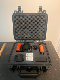 Sony ZV-1 (Case, Ulanzi Lens, Cage, Handle, Batteries, Charger)