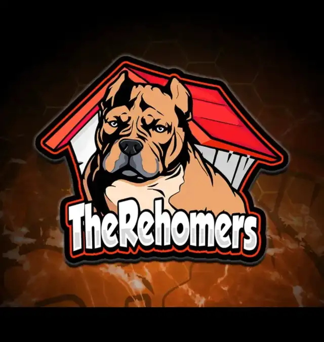 Therehomers in Registered Shelter / Rescue in City of Toronto - Image 2