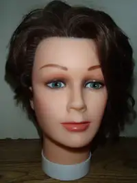 Collectible Mannequin Head